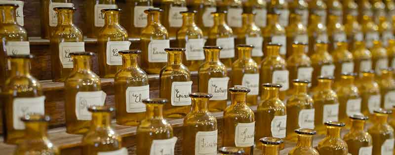 Conseil en huiles essentielles - Royan Lionel Rigour
