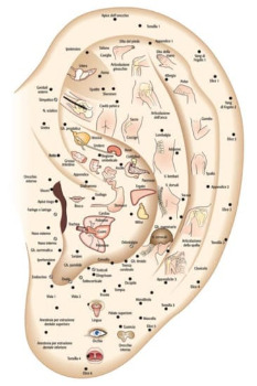 auriculothérapie-royan-1